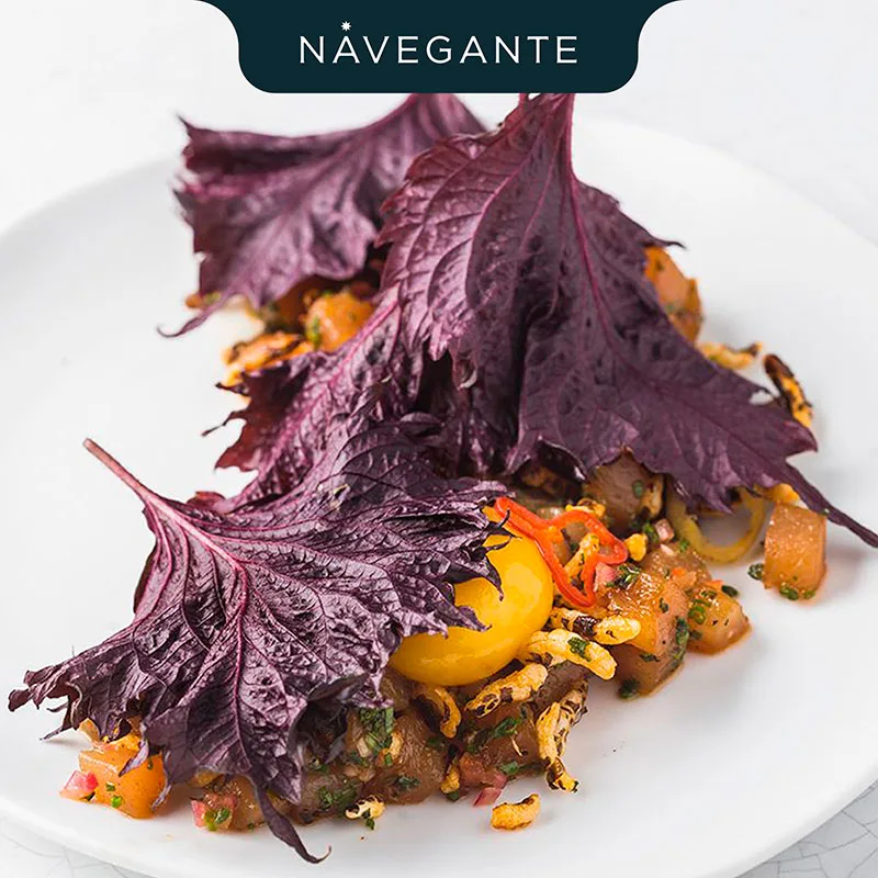 Navegante — photo 13