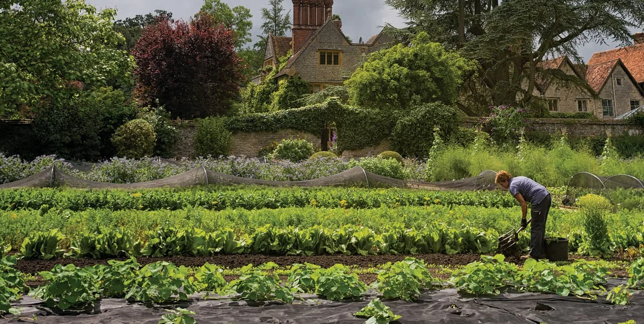 Le Manoir aux Quat'Saisons — photo 47