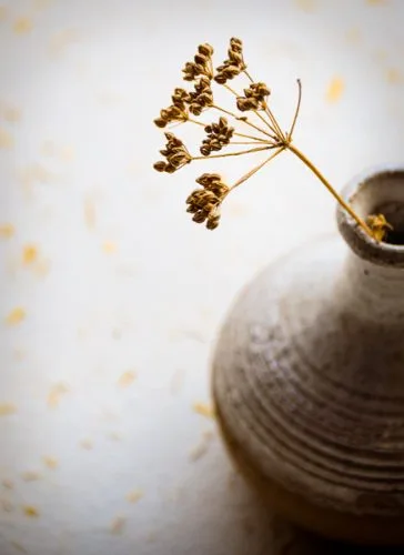 La Hambar Modern Romanian Cusine — food