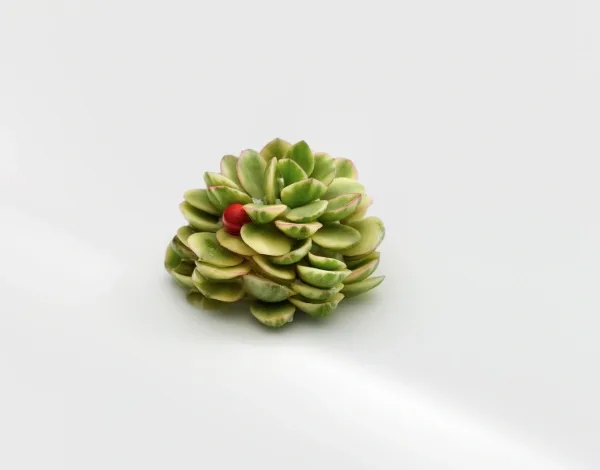 Mugaritz — photo 9