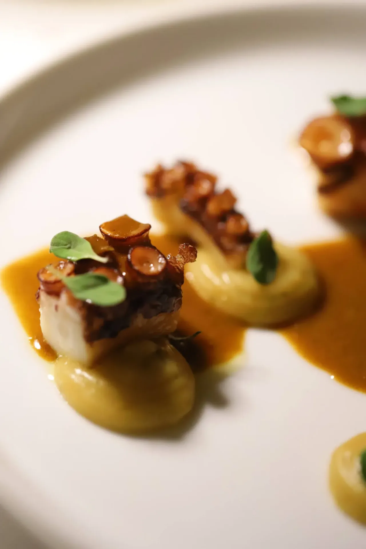 Degusteria del Gigante, San Benedetto del Tronto