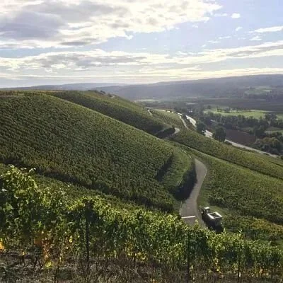 Weingut Weber — photo 19