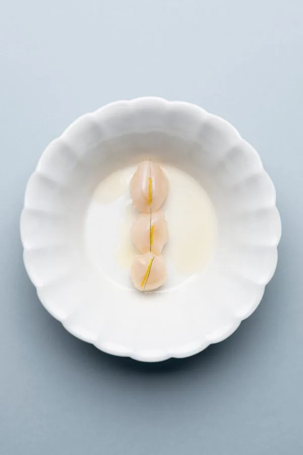 Troisgros - Le Bois sans Feuilles — food