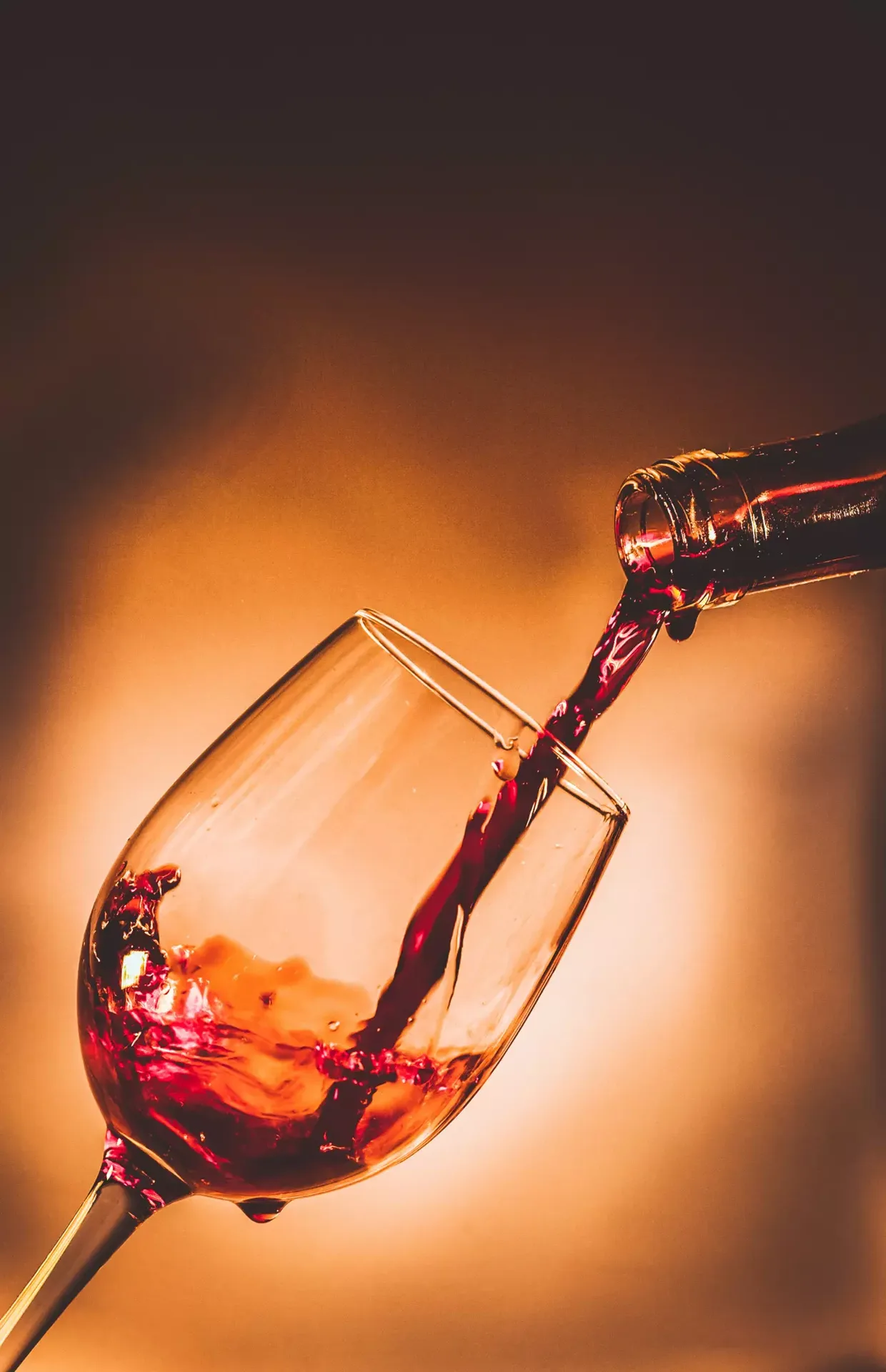 Spago by Wolfgang Puck — drink