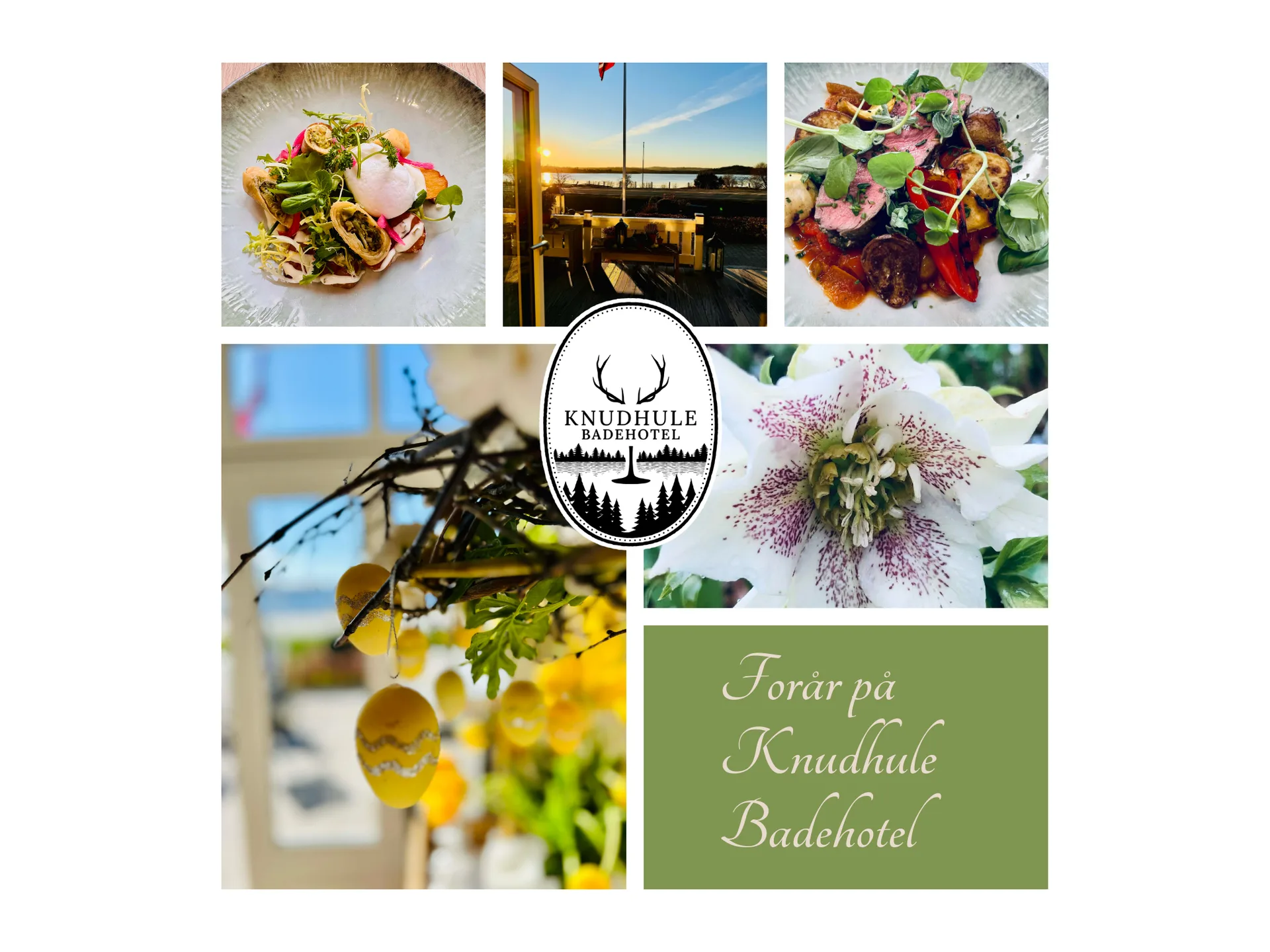 Gastronomisk Institut — photo 74