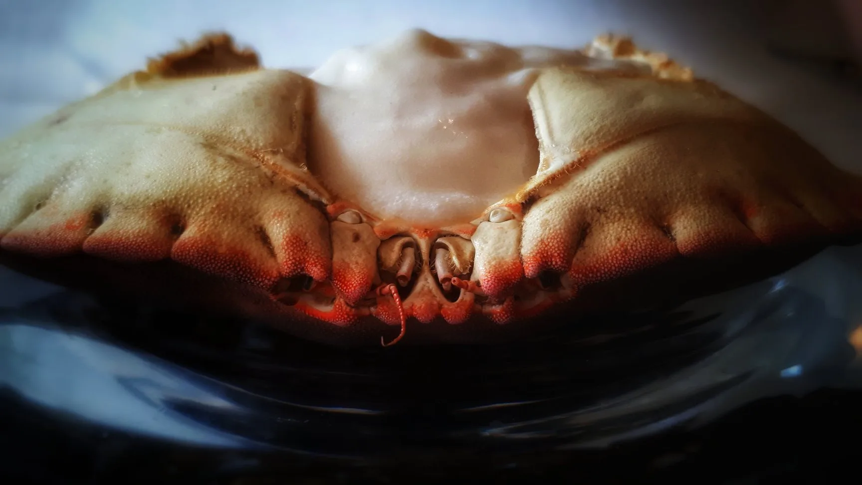 Infini — food