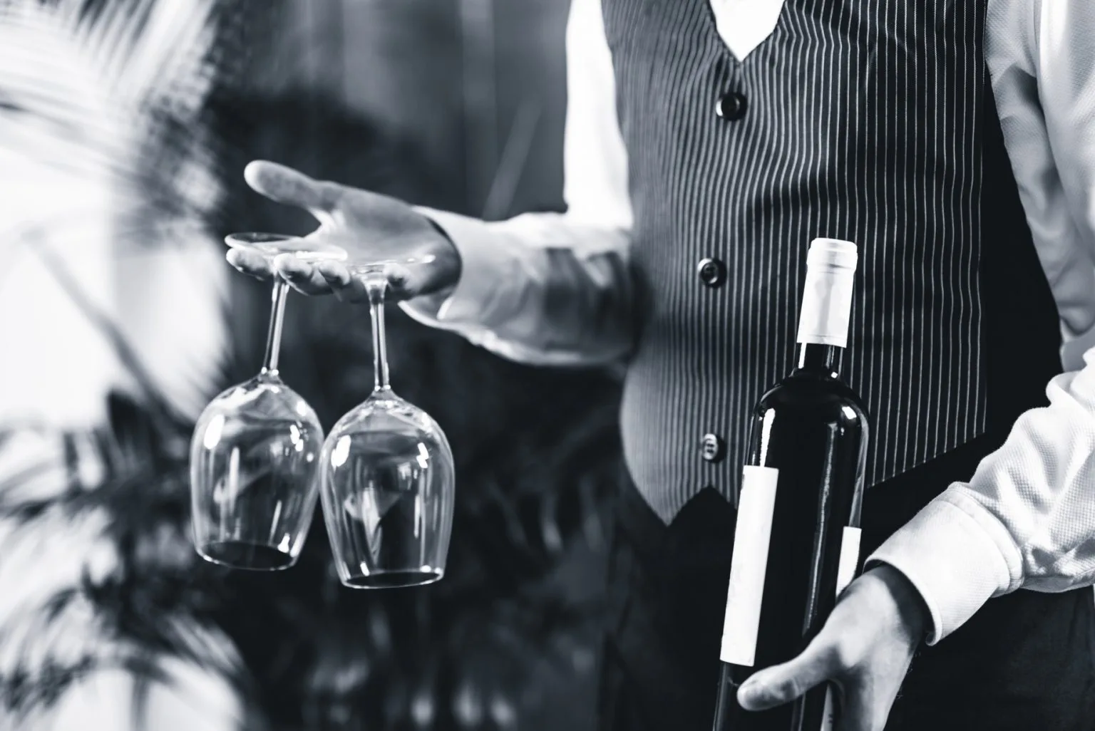 Mary Kate's Wine Bar — photo 11