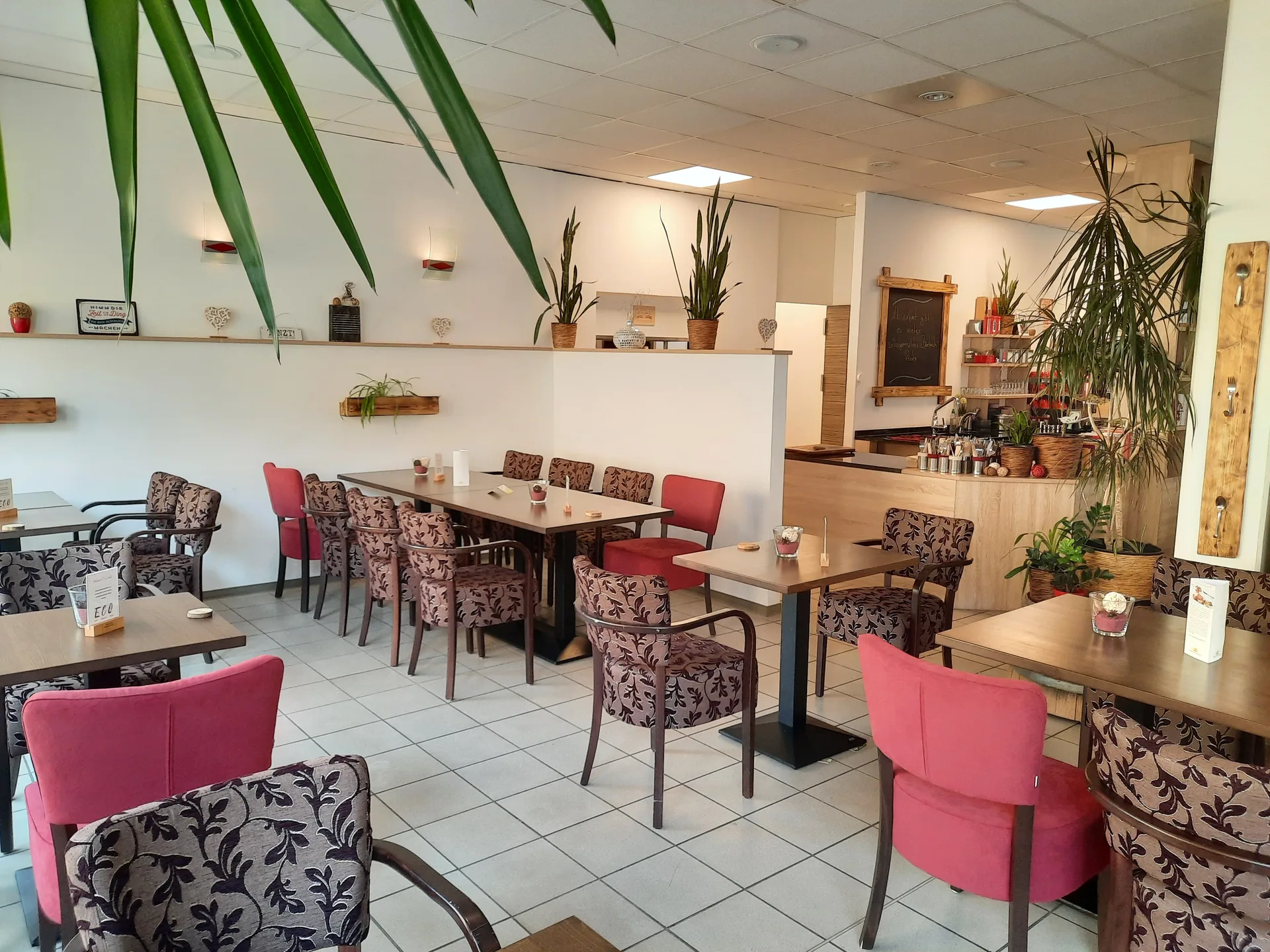 Restaurant ECO — photo 115