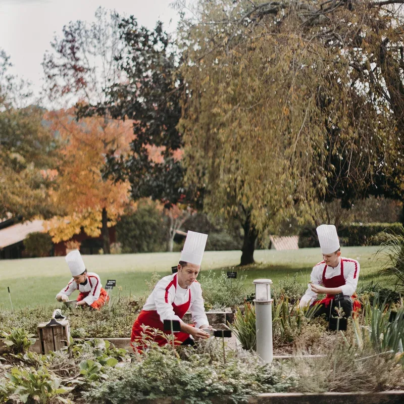 Les Frères Ibarboure — photo 37