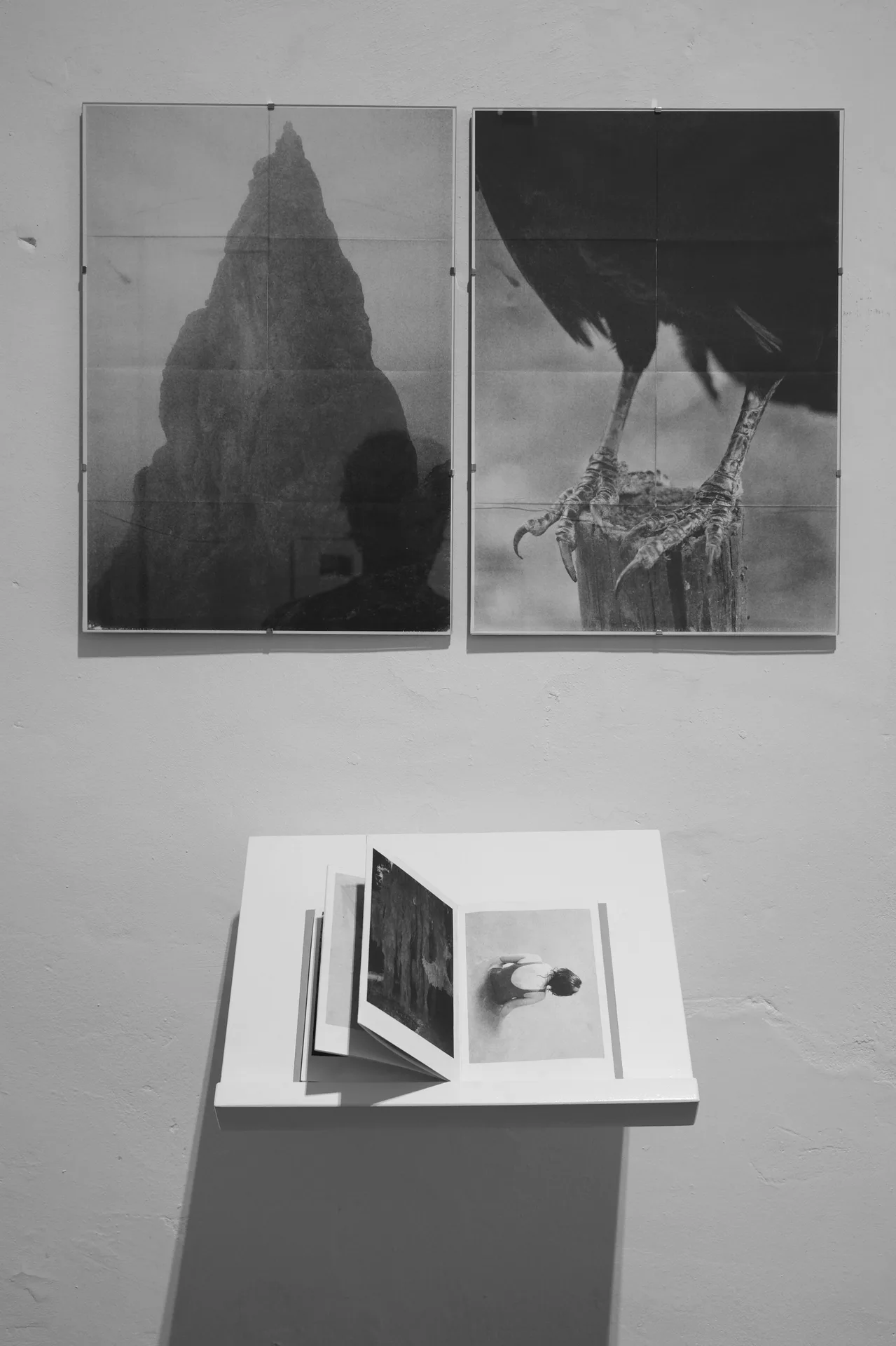 Studio Cluster — photo 31