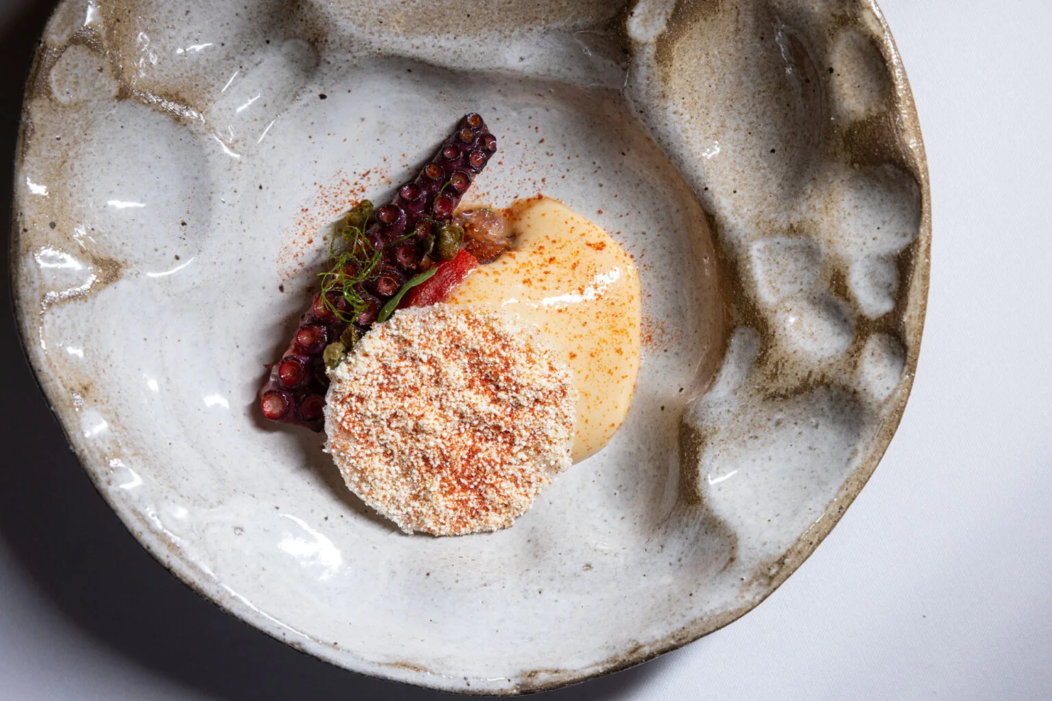 Salsify at the Round House — photo 38