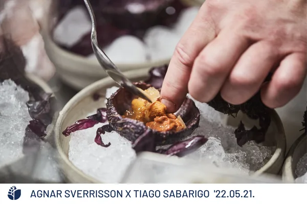 Essência Restaurant - Tiago & Éva — photo 91