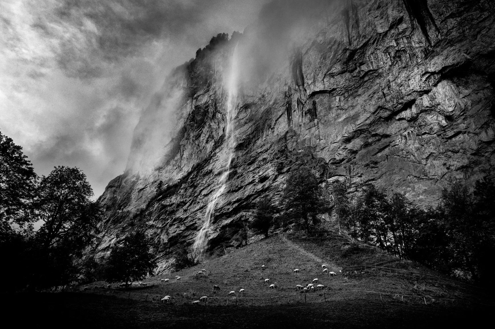 Storchen — photo 38
