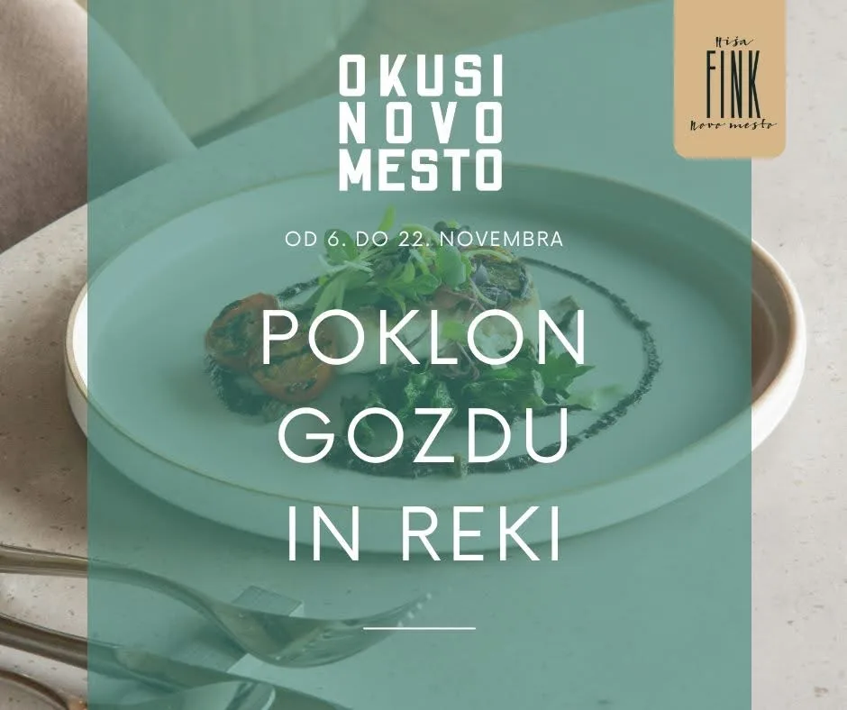 Hiša Fink — photo 40