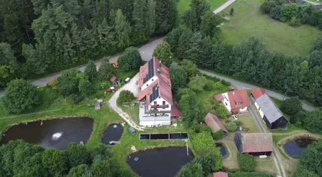Weiherblasch, Schönsee