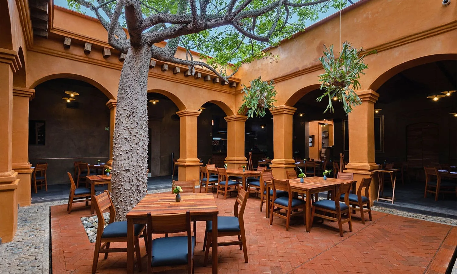 Asador Bacanora Oaxaca — photo 6