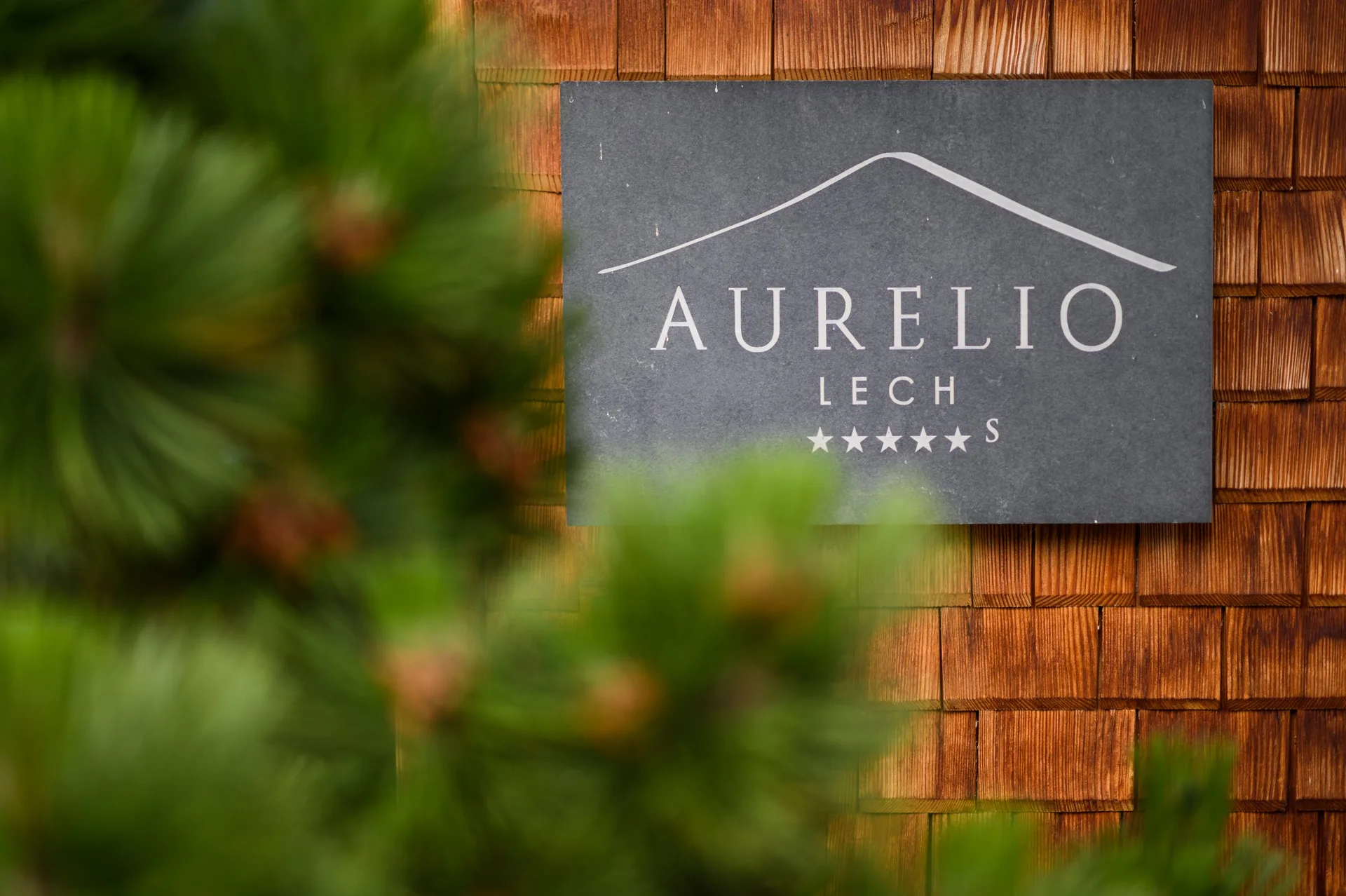 Aurelio’s, Lech