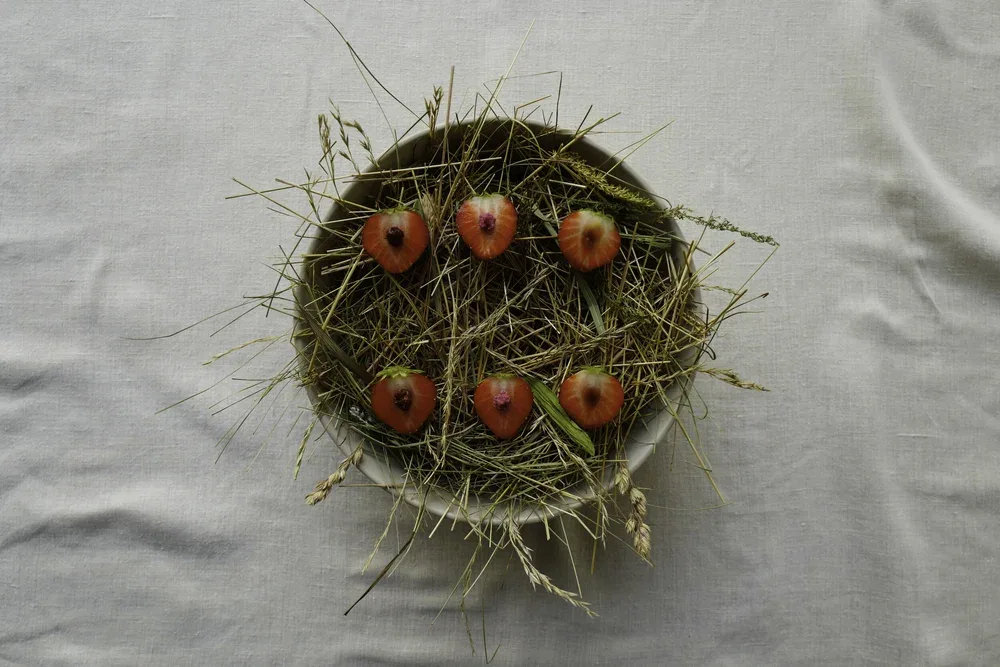 Grön — photo 34