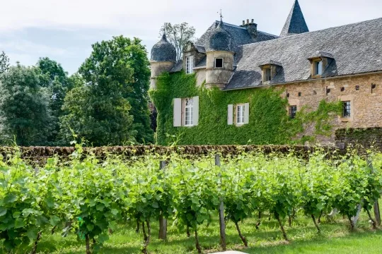 Le Clos - Château de Labro — photo 52