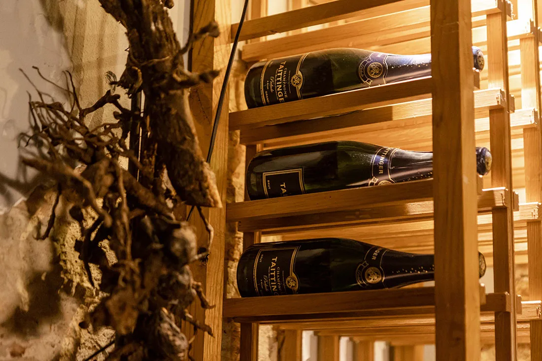I Due Cippi dal 1976 — photo 59