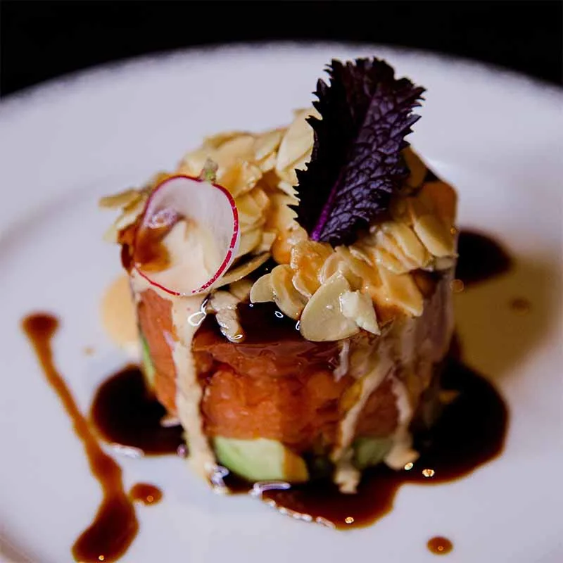 Cum Laude, Freiburg