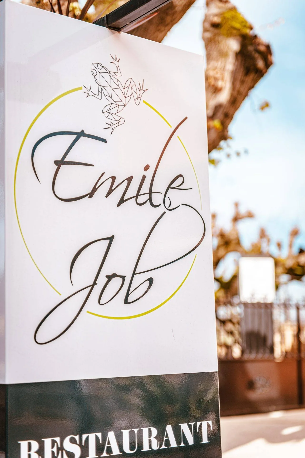 Émile Job — photo 8