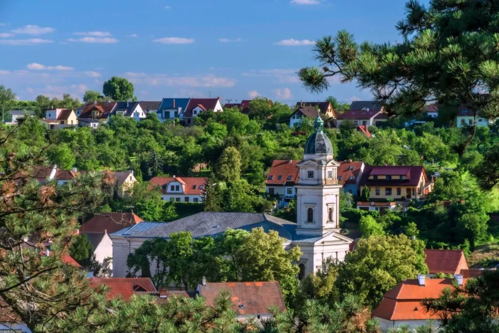 Kounický dvůr — photo 64