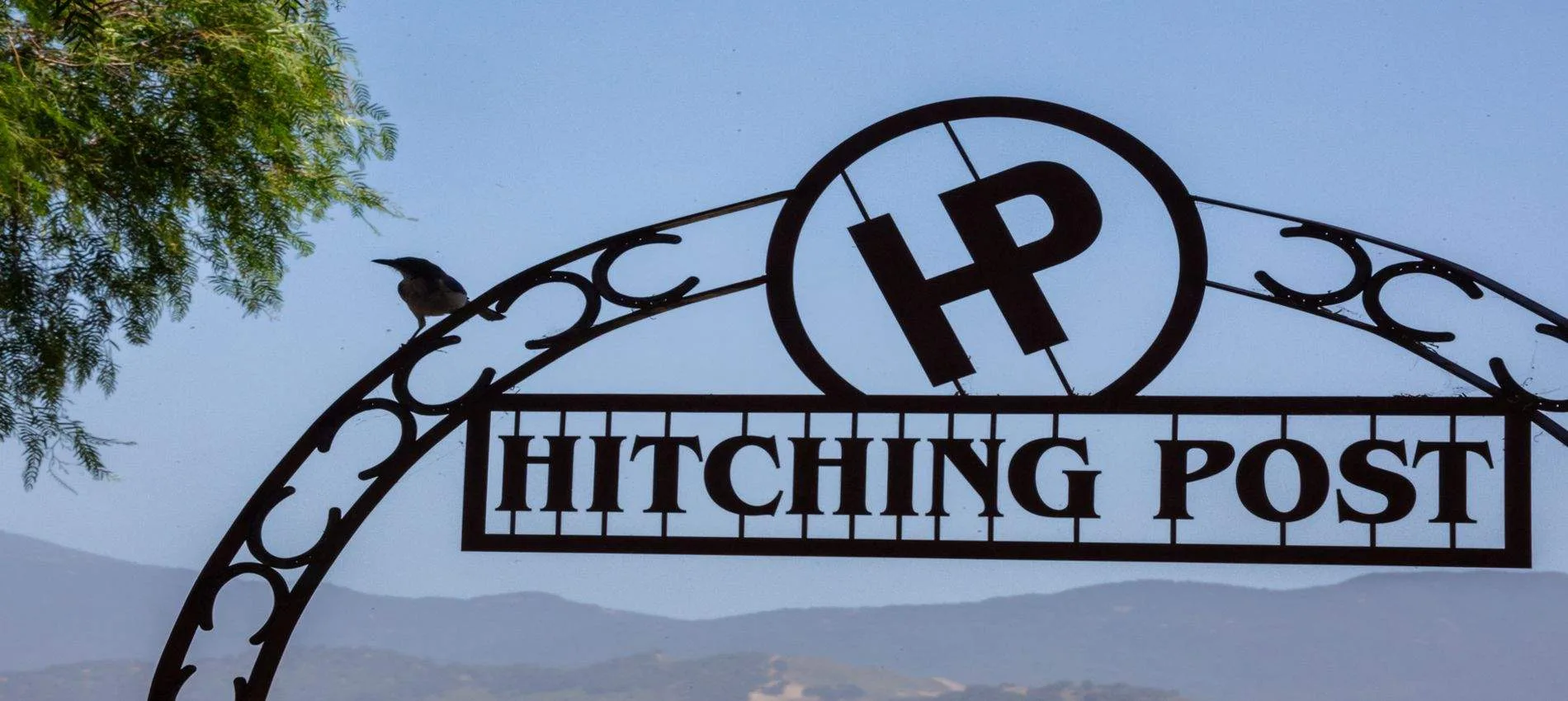 The Hitching Post 2 — photo 4