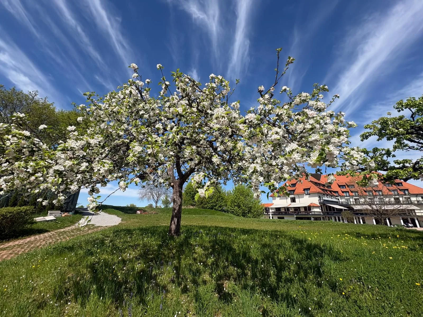 Panorama Restaurant — photo 88