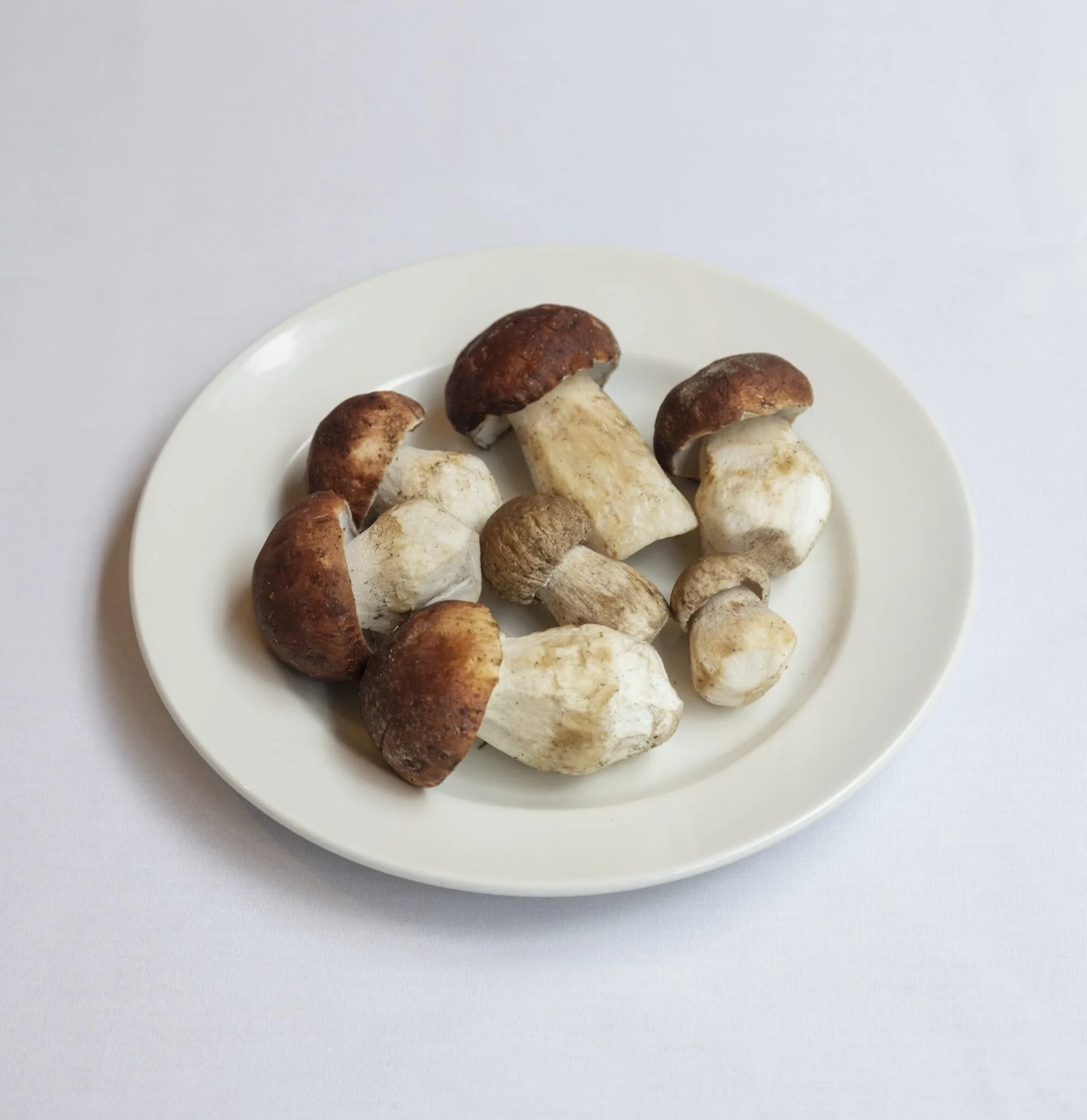 Bocca di Lupo — photo 12