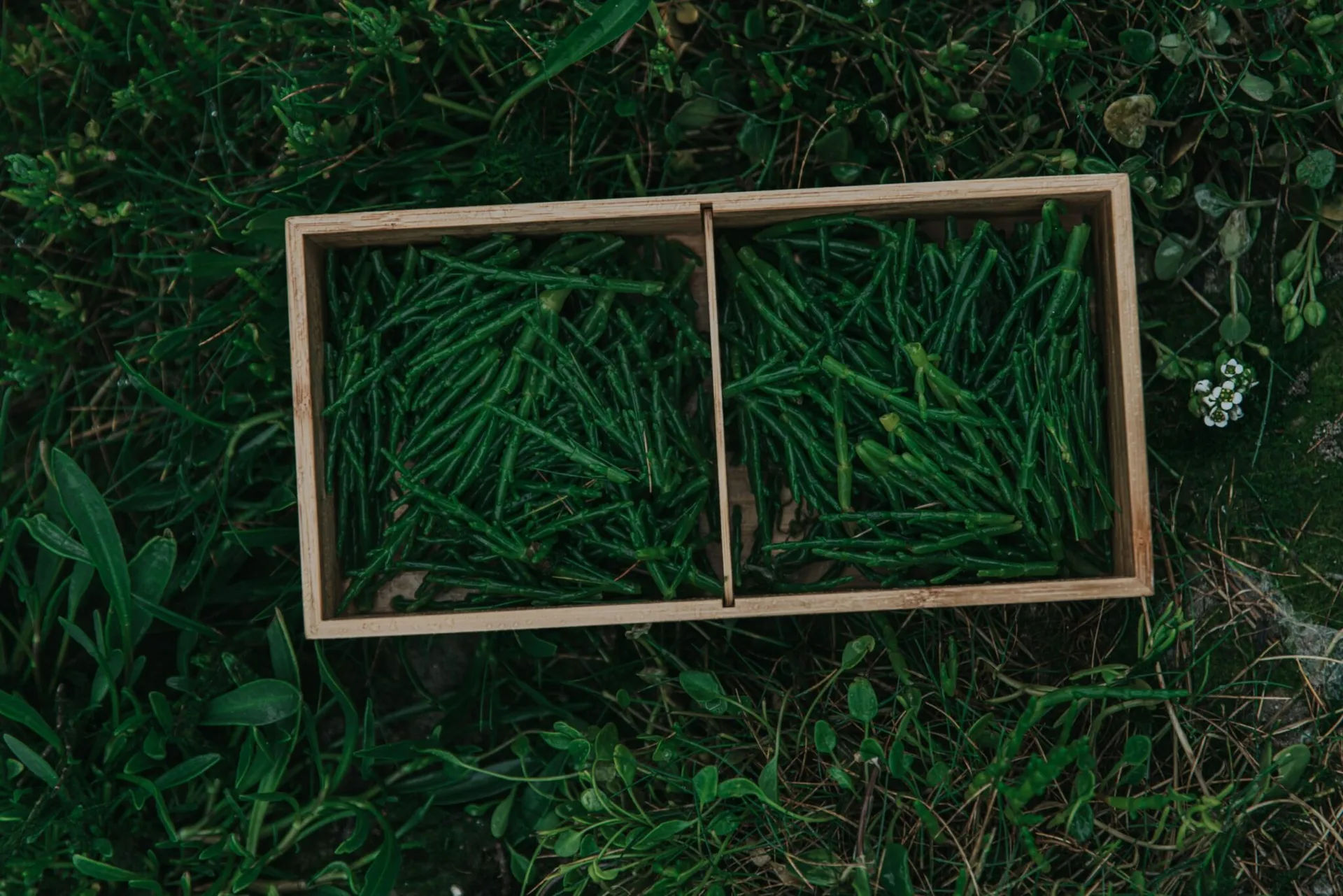 La Table de la Butte — photo 15