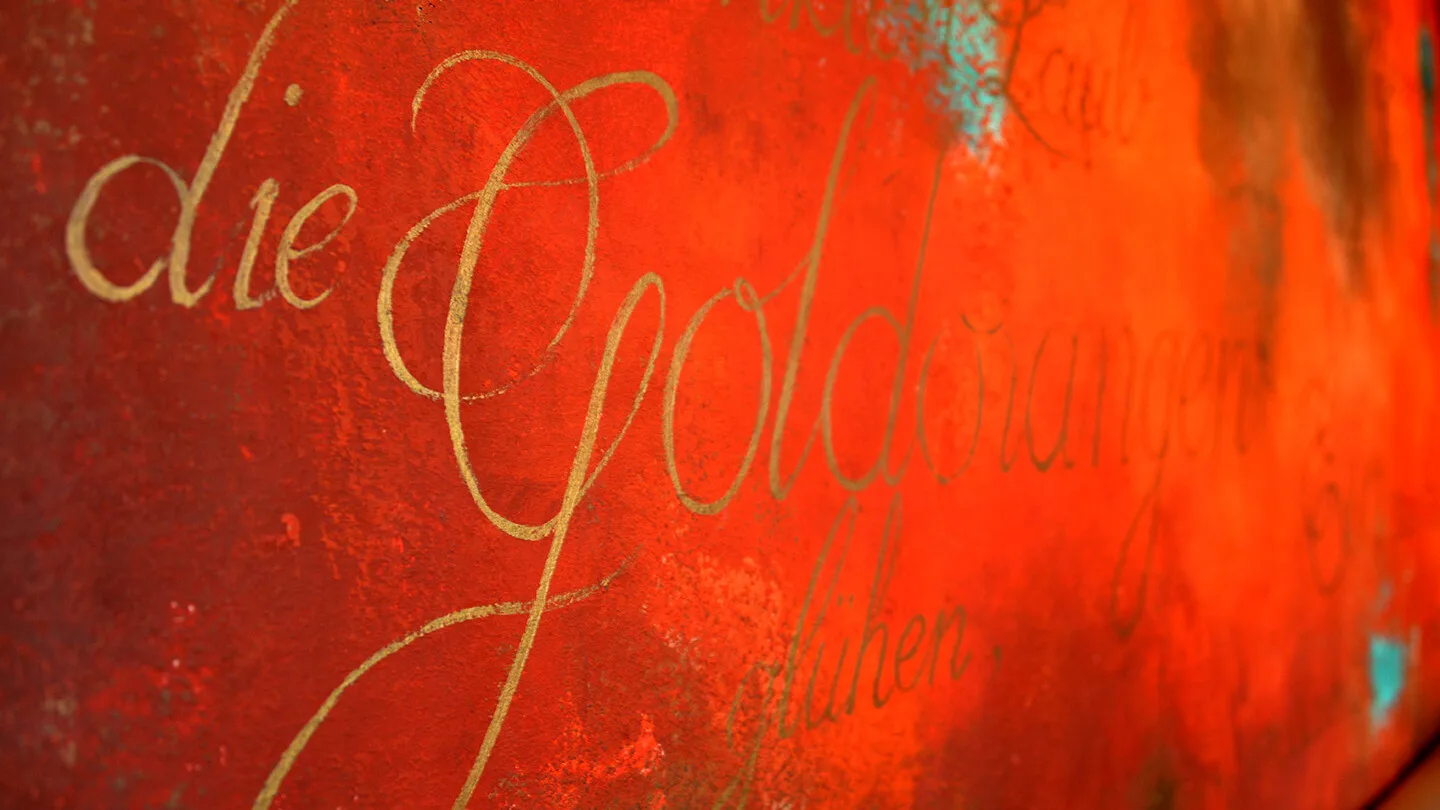 Aurum — photo 24