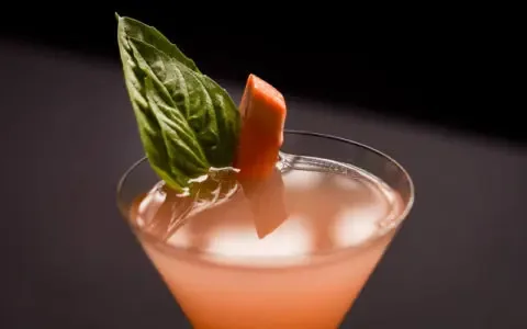Selva Grill — drink