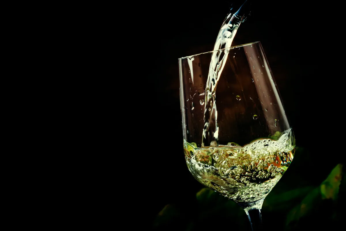 Vina — photo 6