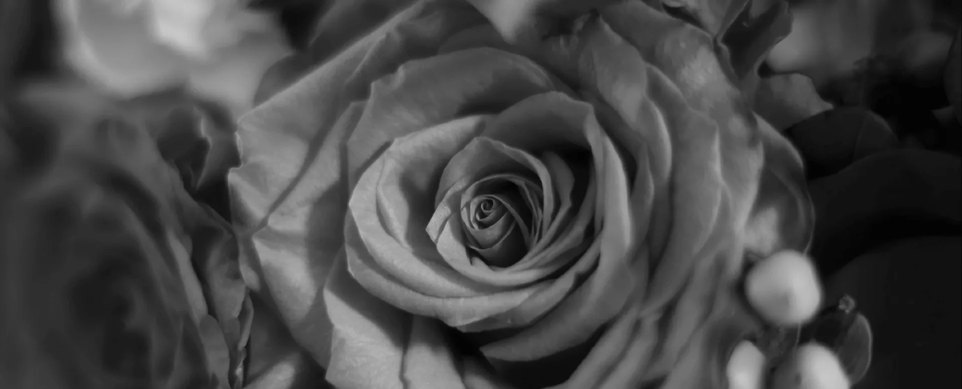AMOUR — photo 22