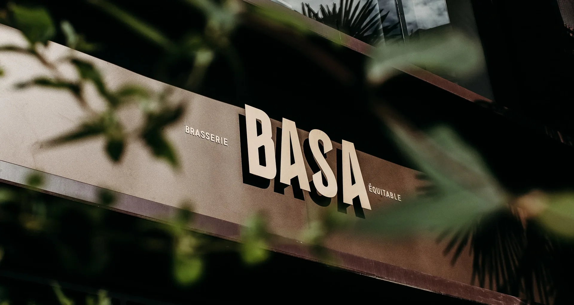 Basa — photo 18