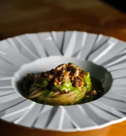 Procaccini — photo 9