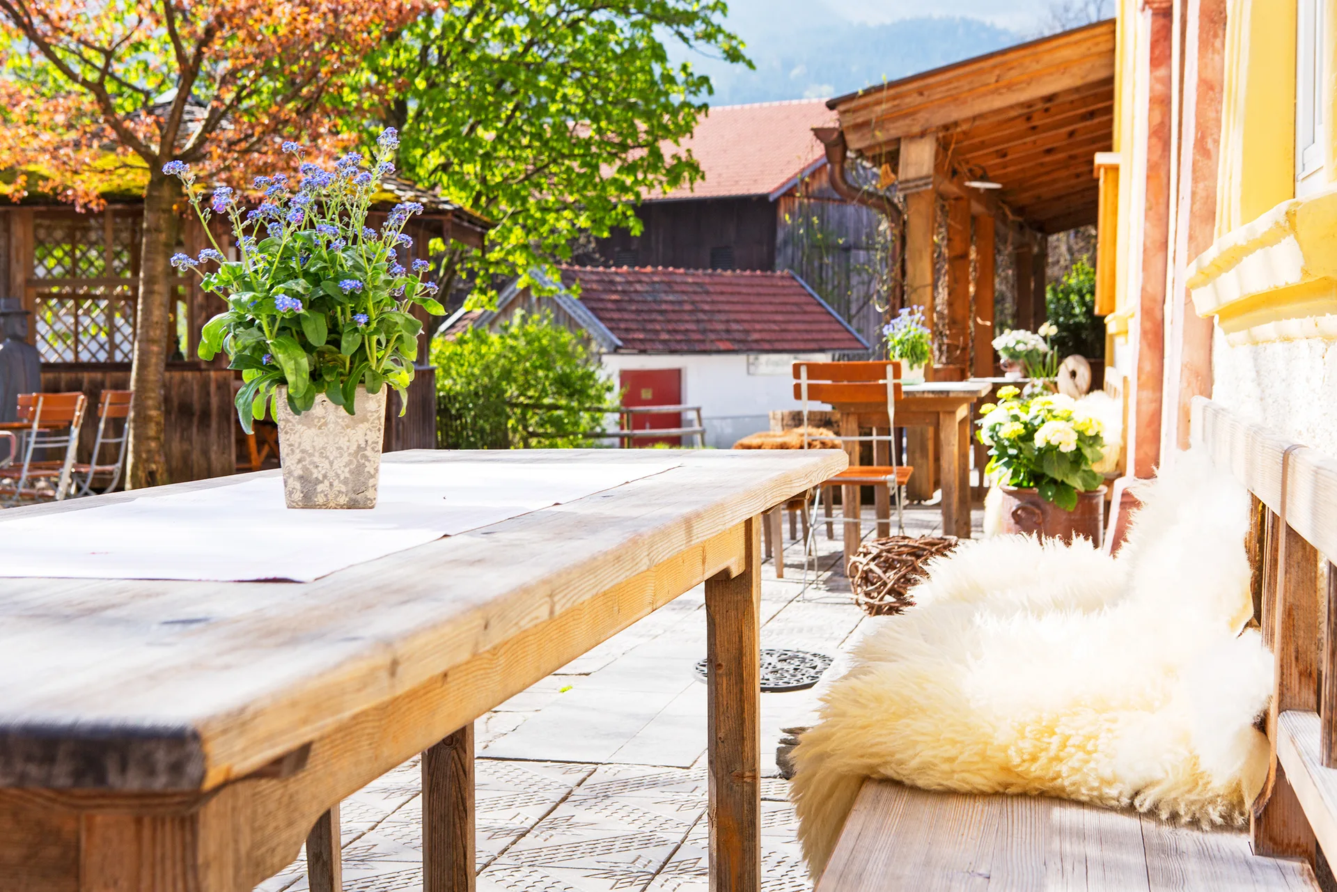 Gasthof Alpenrose — photo 17