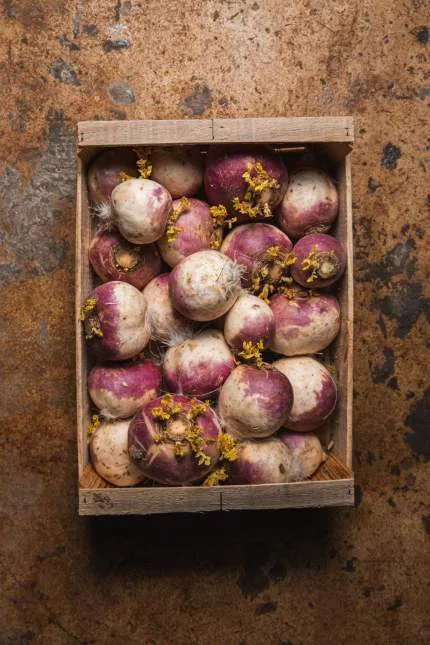 JU - Maison de Cuisine — photo 19