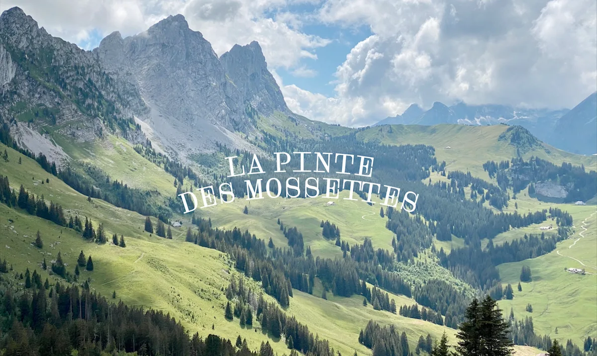 La Pinte des Mossettes — photo 44