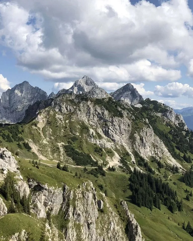 Das Müllers — photo 39