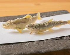 Gochiso nene, Osaka
