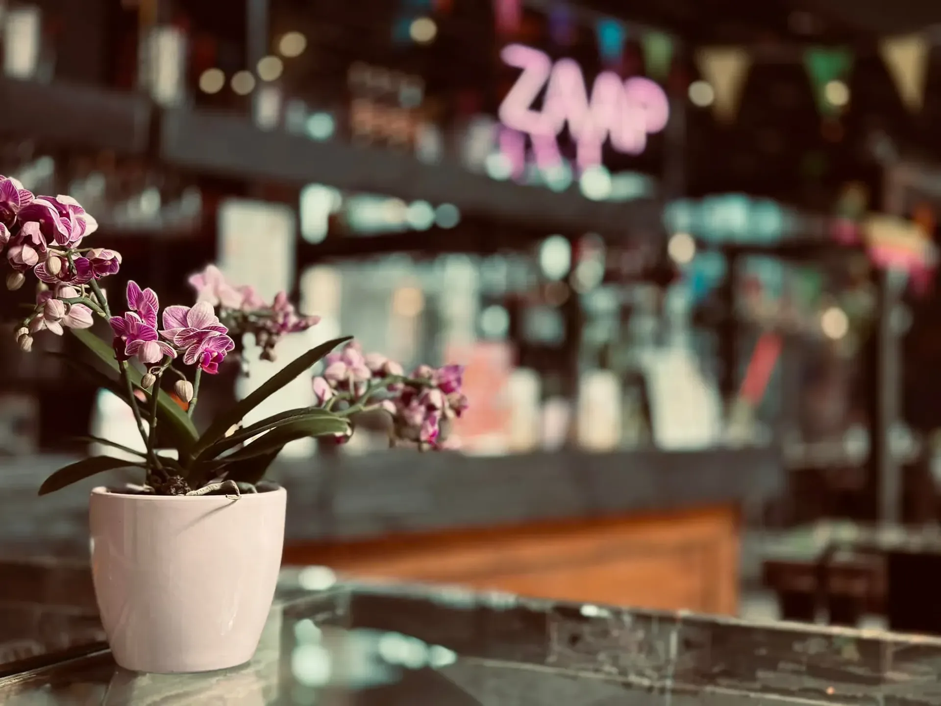 Zaap — photo 10