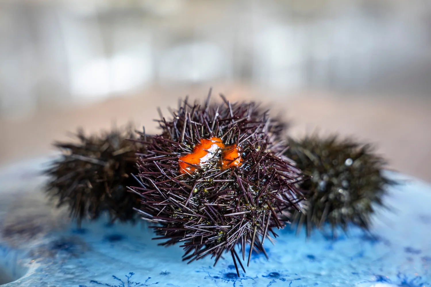 A Varcuzza — photo 42