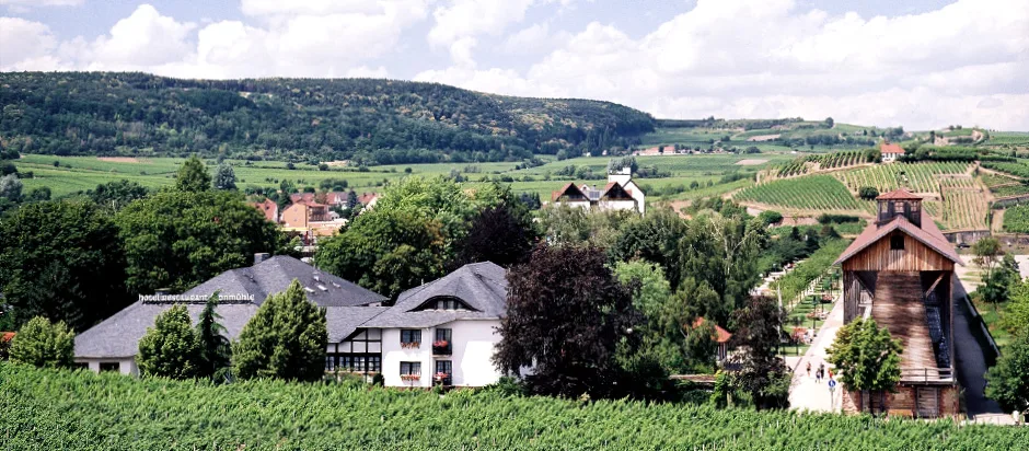 Restaurant Fronmühle — photo 21