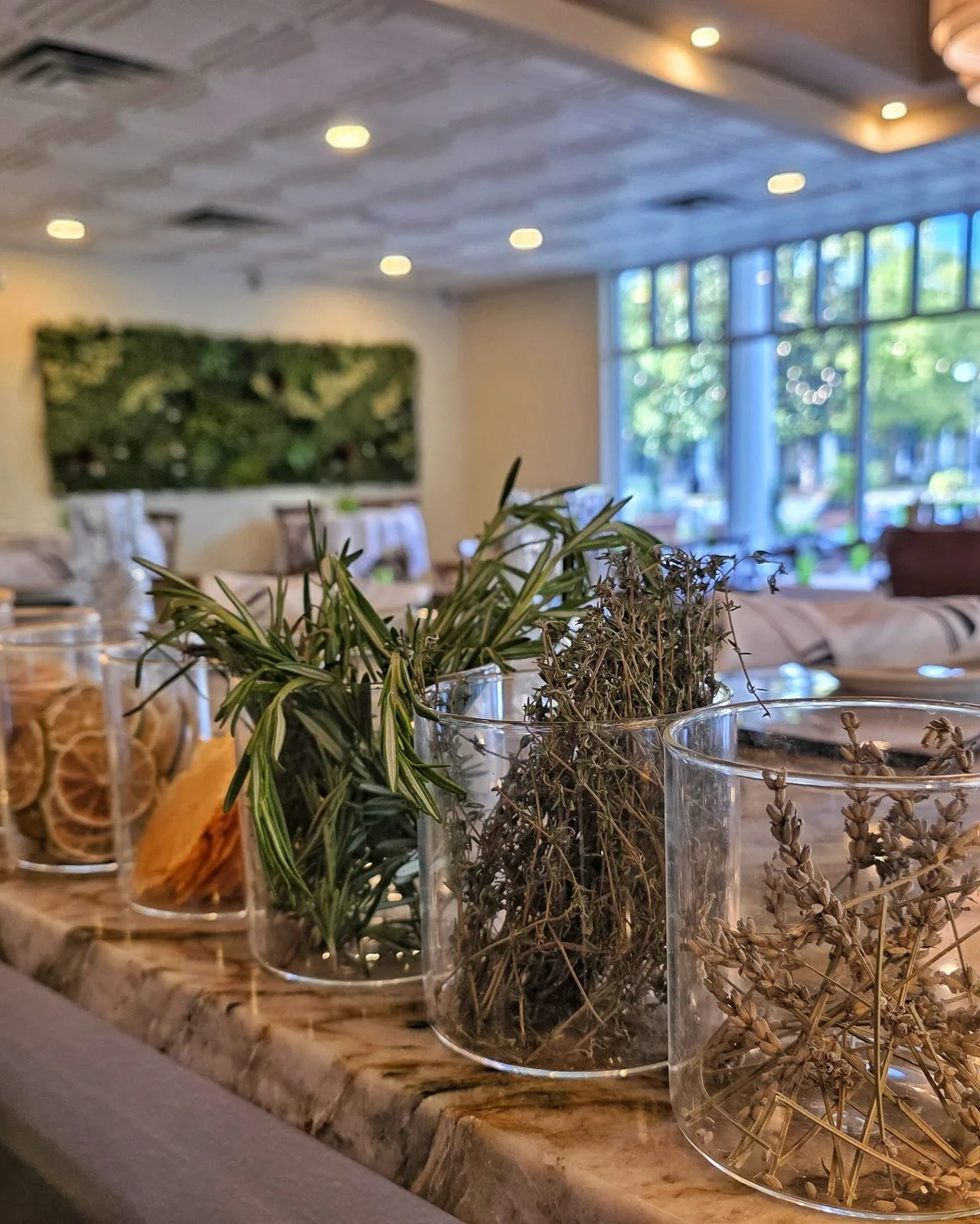Cucciolo Osteria — photo 10