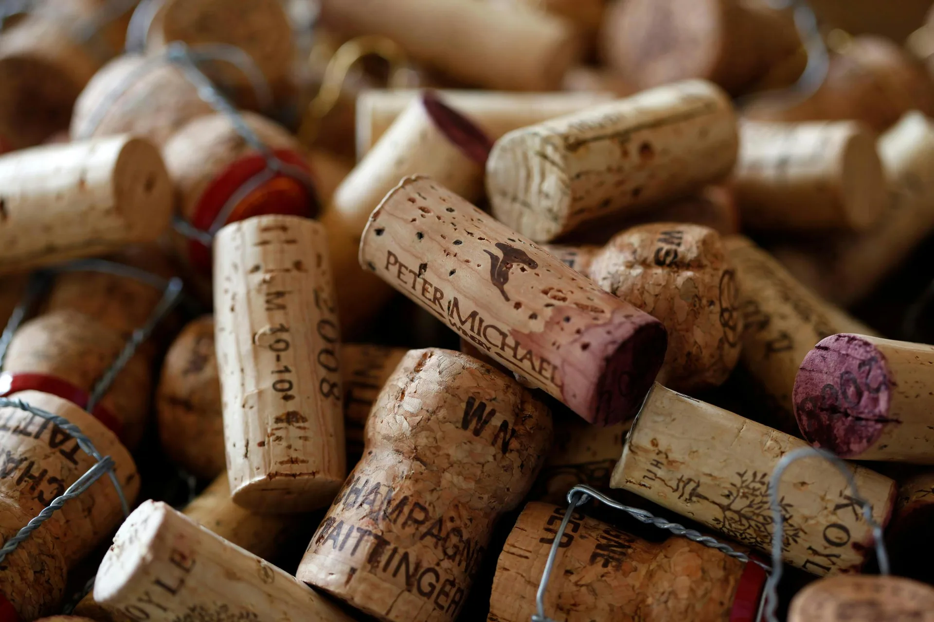 The Vineyard — photo 91