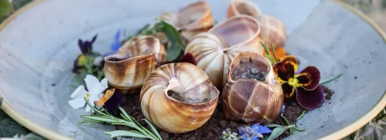 Brasserie Adriatic — food