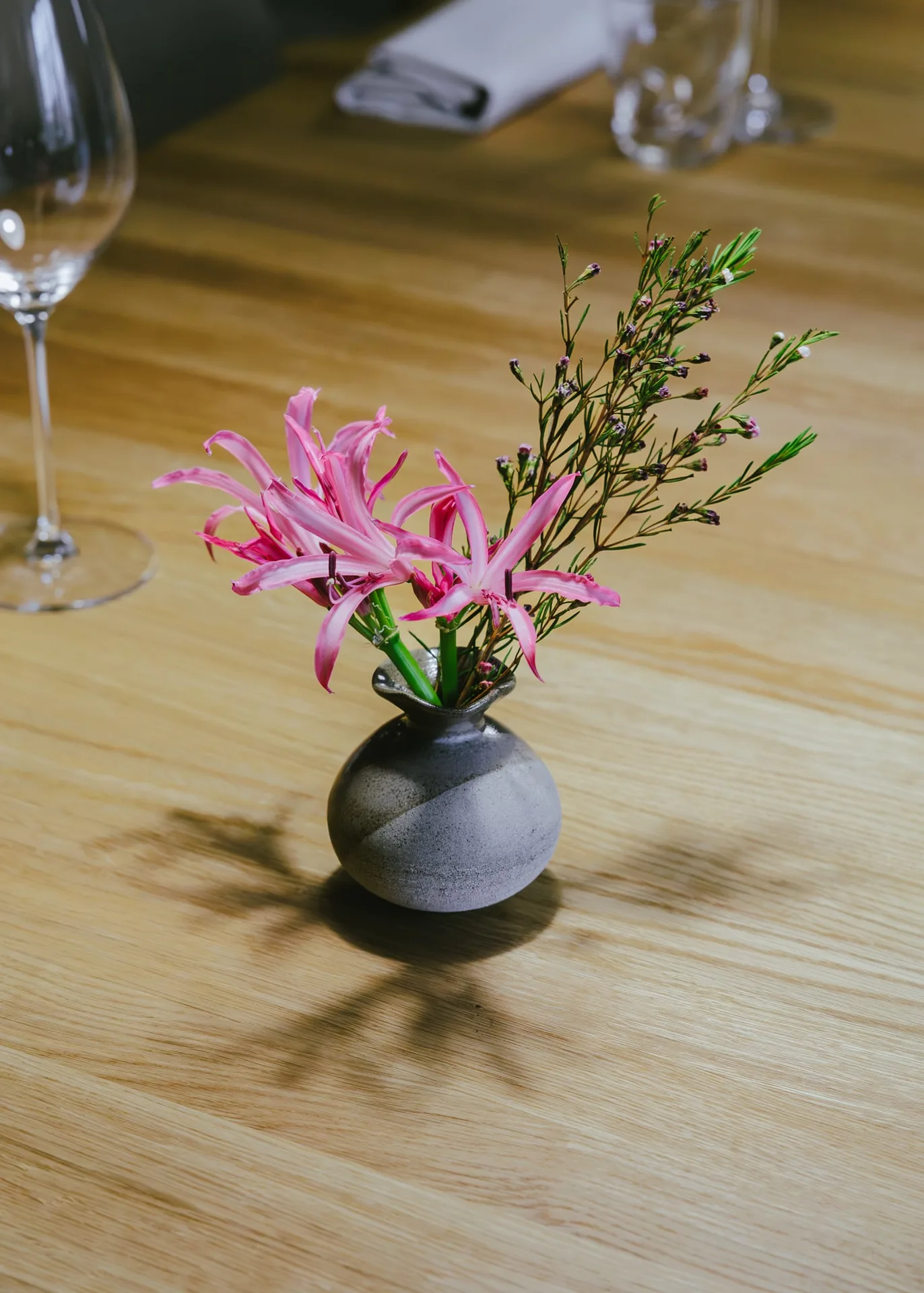Abigail & Co — photo 9