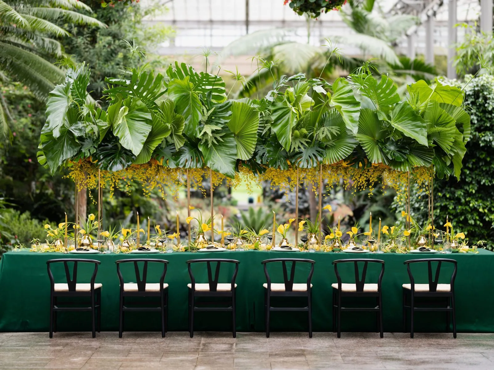 1906 at Longwood Gardens — photo 19